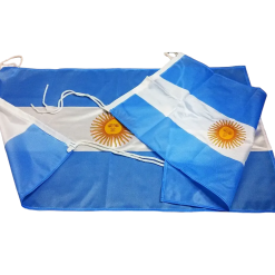 Alternative view of Bandera Argentina - GP5478